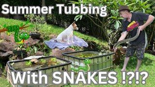 Summer Tubbing with Snakes !!