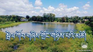 སྦེལ་ཀོབ་གཞིས་གྲོང་གཉིས་པའི་མཚོ། Second Camp Lake( Fish sanctuary)Tibetan Settlement, Bylakuppe.