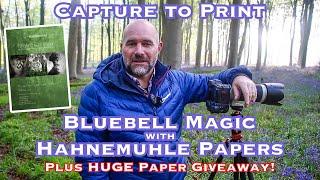 Bluebell Magic - From capture to print with Hahnemuhle papers - Plus HUGE paper giveaway!