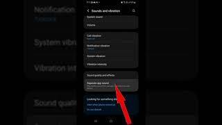 How to Turn On Separate App Sound