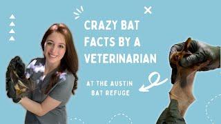 CRAZY BAT FACTS! Dr. Rachel Siu, Veterinarian, Visits The Austin Bat Refuge *Compilation*