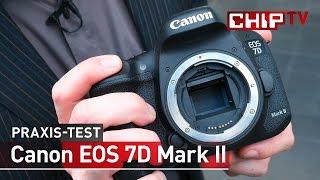 Canon EOS 7D Mark II - Praxis-Test deutsch | CHIP