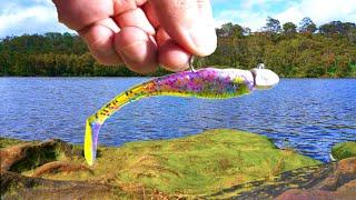 This Lure Keeps Catching Fish! (Big Hookup)