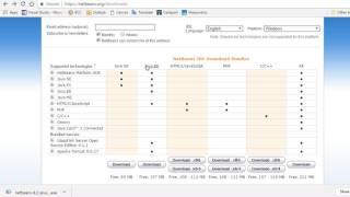 Install Netbeans Java EE