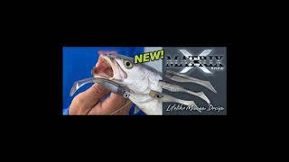 Matrix Shad Unboxing