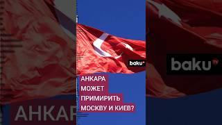 Турция может стать посредником между Россией и Украиной при Дональде Трампе