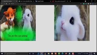 Zoom Image with amazon functionalities [2021] | Outstanding programmer |