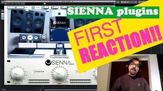 Sienna Headphone Mixing Plugin | My FIRST REACTION | Acustica Audio