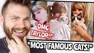 The *Best* of Taylor Swift and Her Cats | REACTION!!