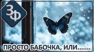 215 Бабочка в холодном ноябре | Истории Наших Зрителей