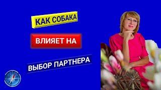 КАК СОБАКА ВЛИЯЕТ НА ВЫБОР ПАРТНЕРА