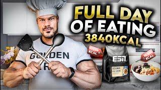 Full Day of Eating (Olympia Prep Edition)