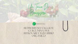 Redberry selvaggio e curcumina per ritrovare l’equilibrio organico