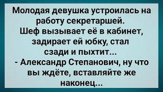 Шеф Задрал Юбку Секретарше! Сборник Свежих Анекдотов! Юмор!