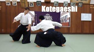 Aikido ・ Kotegaeshi Basic & Variations