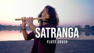 ANIMAL: SATRANGA Flute Cover by Divyansh Shrivastava | Ranbir Kapoor,Rashmika| |Arijit Singh