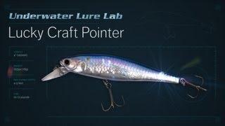 Underwater Lure Lab: Lucky Craft Pointer