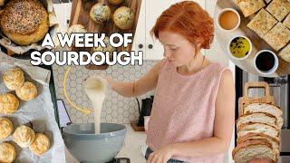 A Week Of Sourdough As A Homemaker