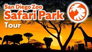 San Diego Zoo Safari Park: Full Tour & Tips