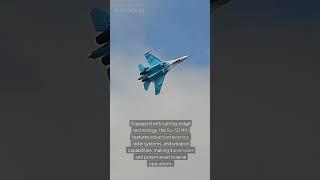 Su-30:Workhorse Of The Indian Airforce. #usa #army