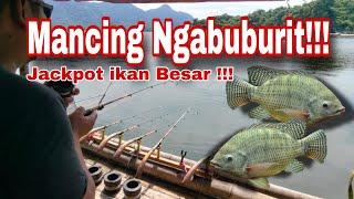 Mancing Ngabuburit di danau Kesayangan || Macing jatiluhur Terbaru