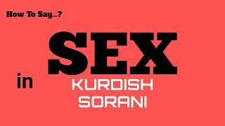 How To Say Sex In Kurdish Sorani, Sex In 100 Languages, Pronunciation Guide Series, Learn English