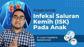 Penjelasan lengkap tentang infeksi saluran kemih!