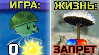 РАСТЕНИЯ Plants vs Zombies по СЛОЖНОСТИ ДОБЫЧИ В РЕАЛЬНОЙ ЖИЗНЕ