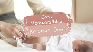 Cara membersihkan kelamin atau kemaluan bayi perempuan dan laki laki yang baru lahir