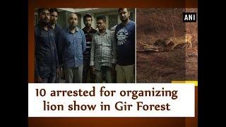 10 arrested for organizing lion show in Gir Forest - Gujarat News