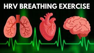 HRV Resonant Breathing Exercise | Guided Cardiac Coherence Breathing | TAKE A DEEP BREATH