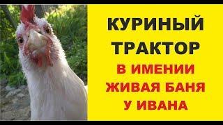 Куриный трактор в имении Живая Баня у Ивана