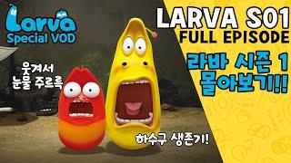 ▶LARVA S01 | 라바 시즌 1 | FULL Episode | 시간순삭!! 코믹 애벌레들의 하수구 생존기!! | 케이블_BOX