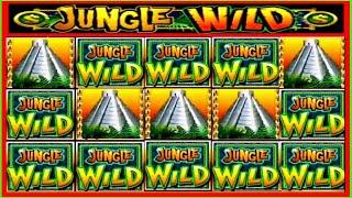 JACKPOT HANDPAY$37 BETSJUNGLE WILD HIGH LIMIT SLOT MACHINE BUENO DINERO MUSEUM SLOTS WMS