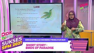 Sukses SPM (2021) | Kesusasteraan Inggeris (Tingkatan 4&5): Short Story - Birds Of Paradise [R]