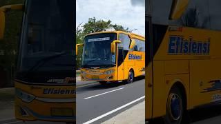 BIG BUS EFISIENSI JETBUS SG MESIN HINO NGEBUT SAMPAI OLENG KANAN KIRI #shorts #trending #subscribe