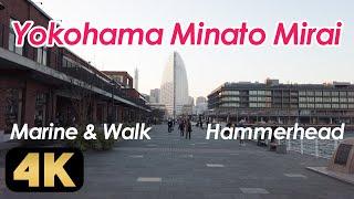 Walking around Yokohama Minato Mirai. Tour the Hammerhead, Marine & Walk, etc.