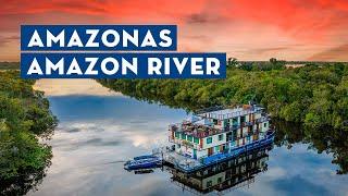 Amazing Amazon