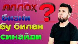 АЛЛОҲ БИЗНИ БУ БИЛАН СИНАЙДИ.....? ( типратикан учади сут оқ эмас қора #valijontv