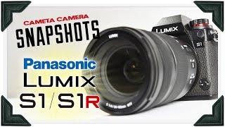 Cameta Camera SNAPSHOTS - Panasonic Lumix S1 / S1R Full Frame Mirrorless Camera Review