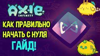 Axie Infinity - гайд как правильно начать игру и как максимально заработать