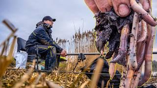 Fishing With Worms On A FREEZING Cold River!