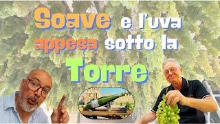 La Garganega di Soave, l'Uva più fotografata d'Italia!