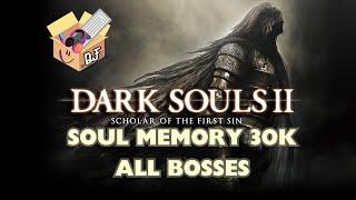 Dark Souls 2 SM30K All Bosses: If you need to Axe yourself if you're ready, you're not [#2]