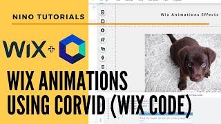 Wix Animations using Velo for Beginners (Wix Code)