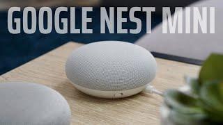Why Google's Nest Mini Is Worth the Upgrade