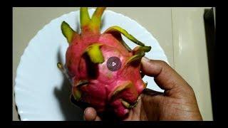ഡ്രാഗൺ ഫ്രൂട്ട് മുറിച്ചു കഴിക്കുന്ന വിധം | How to eat Dragon Fruit | വളരെ എളുപ്പം