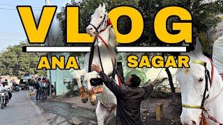 BOATING IN ANASAGAR LAKE || HORSE RIDING AND MORE || AJMER SHARIF || VLOG 20