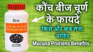 कौंच बीज चूर्ण के फायदे/konch beej powder ke fayde baba ramdev/mucuna pruriens review, benefits
