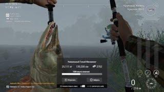 Fishing Planet уникальный голый маскинонг, раз и всё!